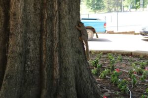 IMG 2778 WEB